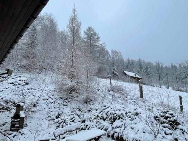 Dom Na Wzgorzu - Brenna Villa Exteriör bild