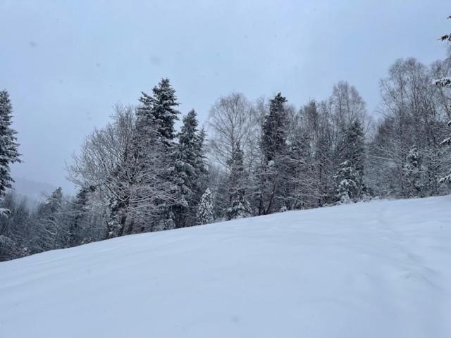 Dom Na Wzgorzu - Brenna Villa Exteriör bild