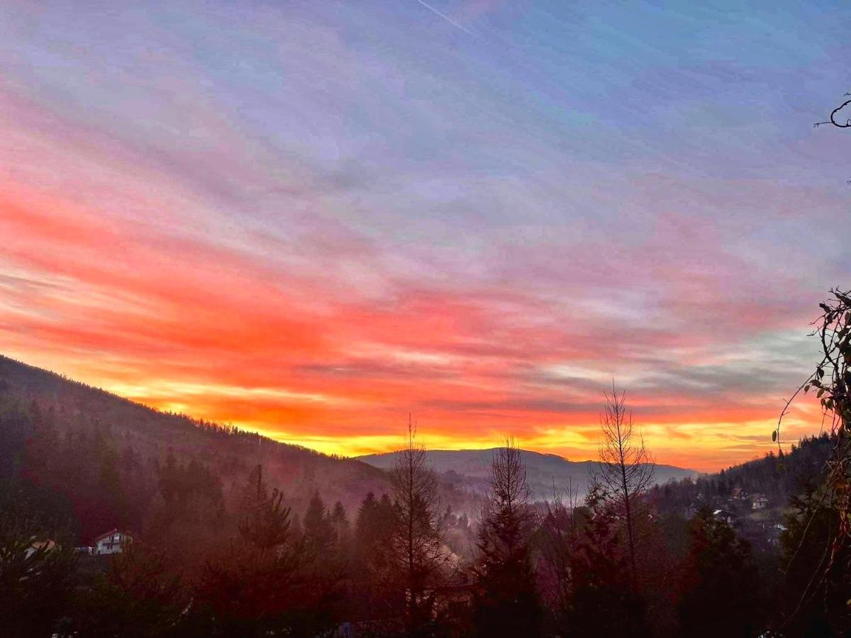 Dom Na Wzgorzu - Brenna Villa Exteriör bild